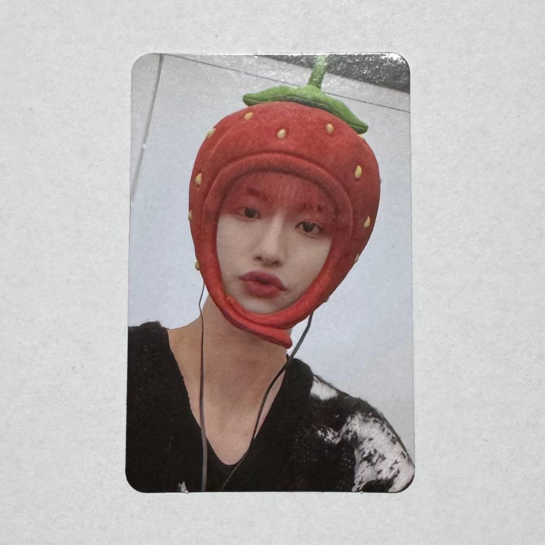 ソンファ　ホットラ Venus Flytrap - G14