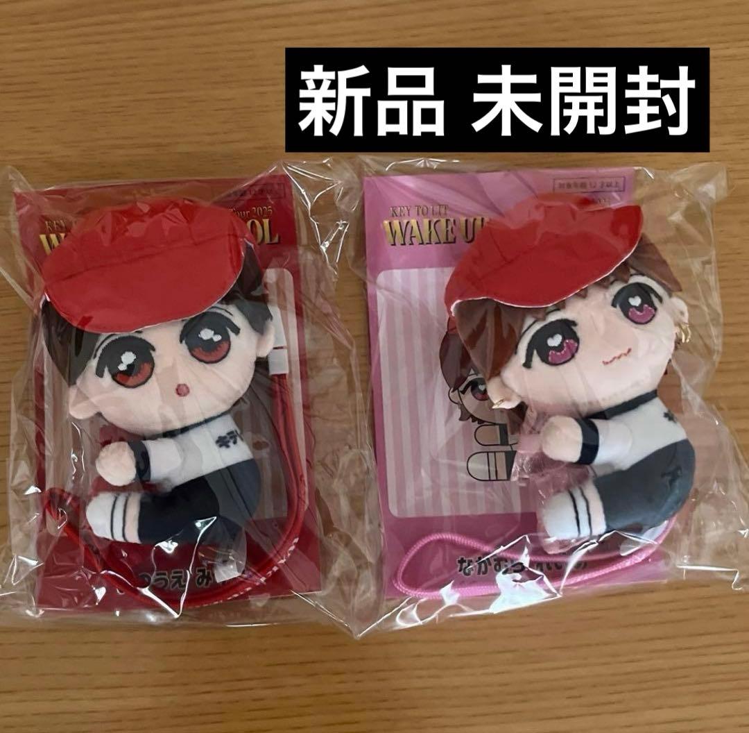 くっつキテレツ 井上瑞稀 中村嶺亜 KEY TO LIT キテレツ グッズ ぬい 新品】くっつきてれつ 井上瑞稀 KEY TO LIT キテレツ - メルカリ