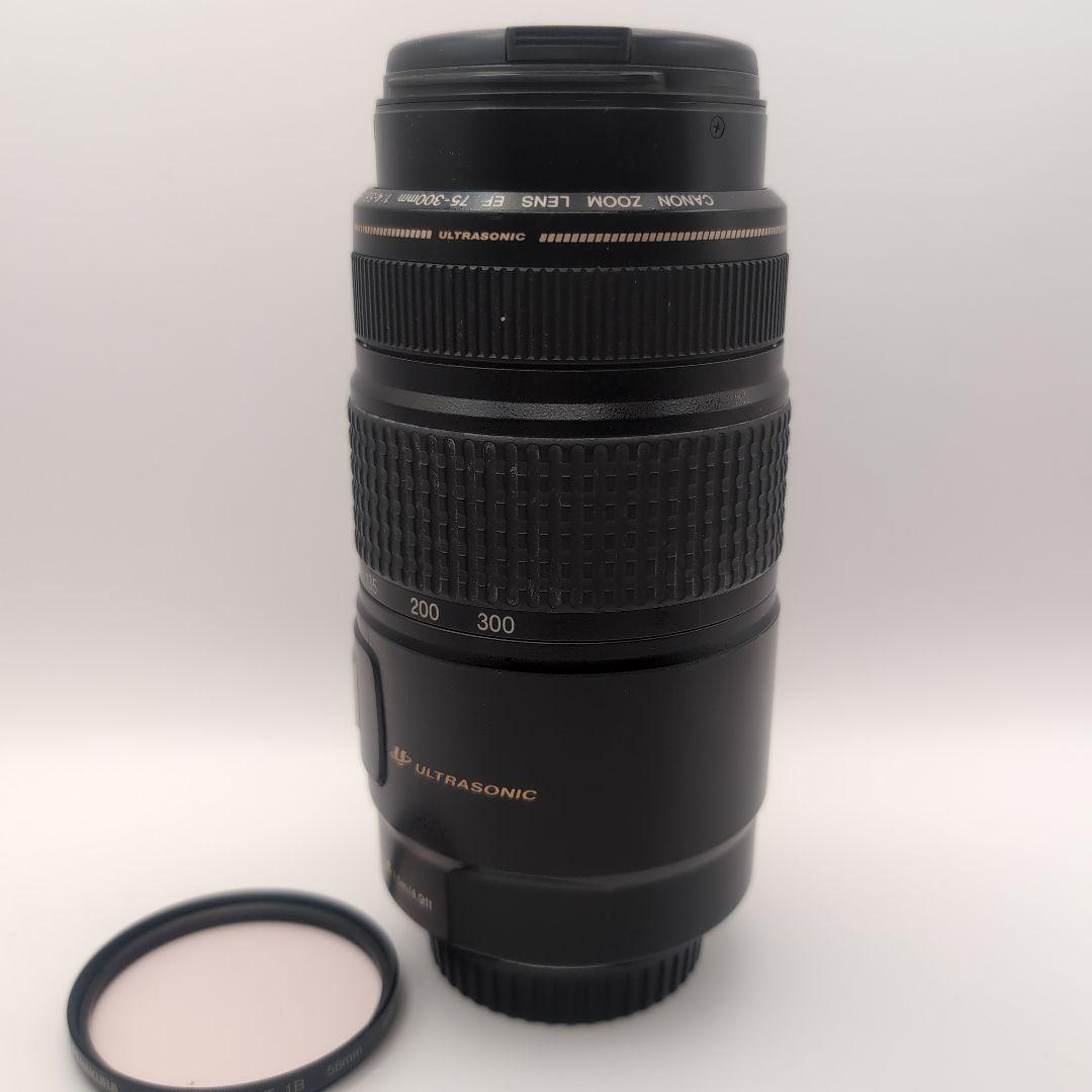 キャノン Canon EF 75-300 F/4-5.6 IS USM
