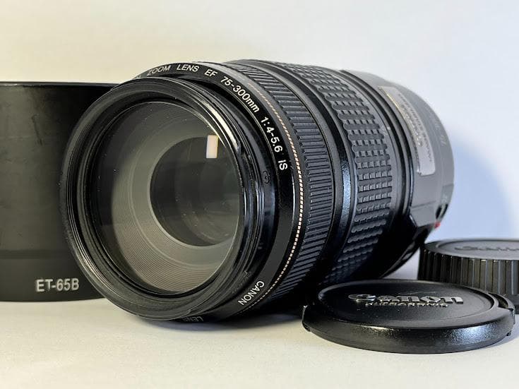 ★美品★ キヤノン EF 75-300mm F4-5.6 IS USM EF75-300mm F4-5.6 IS USM - キヤノンカメラミュージアム