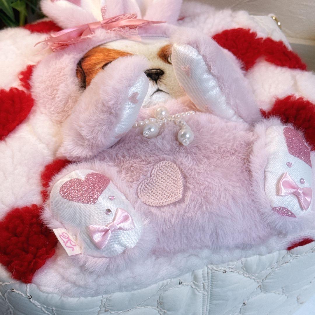 あ*き様 コヤンイサムチョン♡bigうさ着ぐるみアンコちゃんのハートの