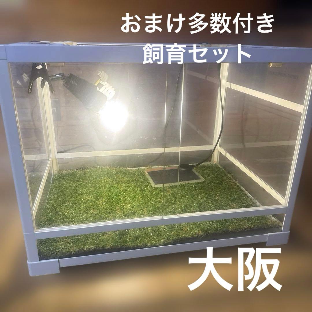 パンテオン6045 他飼育セット - メルカリ