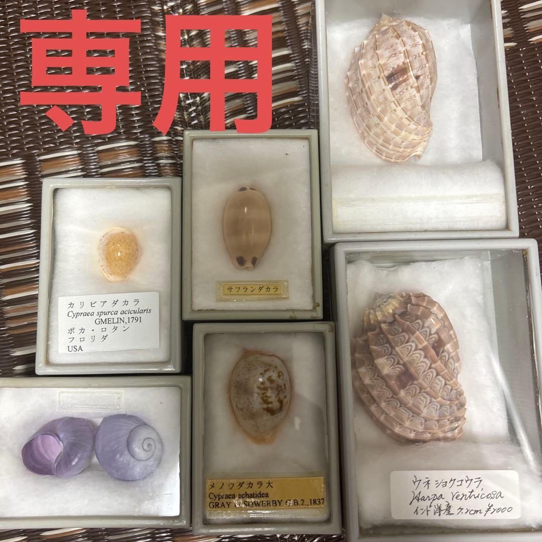 (専用)6点セット ウッドデッキ 人工木 法人・個人事業主様専用 鋼製束 MB-45 ミクロ束