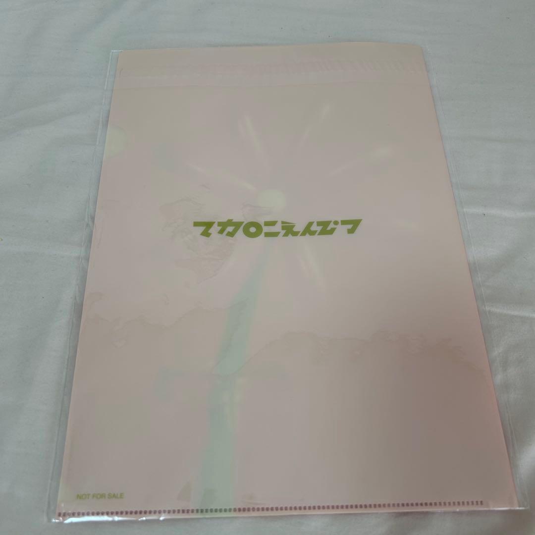 マカロニえんぴつ アルバム CD まとめ売り クリアファイル付き