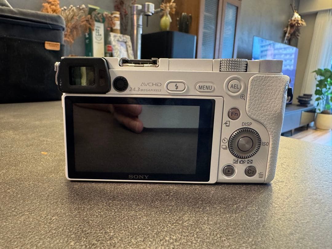 SONY a6000 ホワイト SEL30M35付き