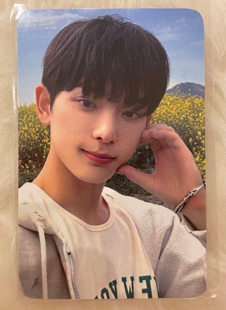 &TEAM 縁DAY HARUA ハルア FC限 韓国 ソウル - メルカリ