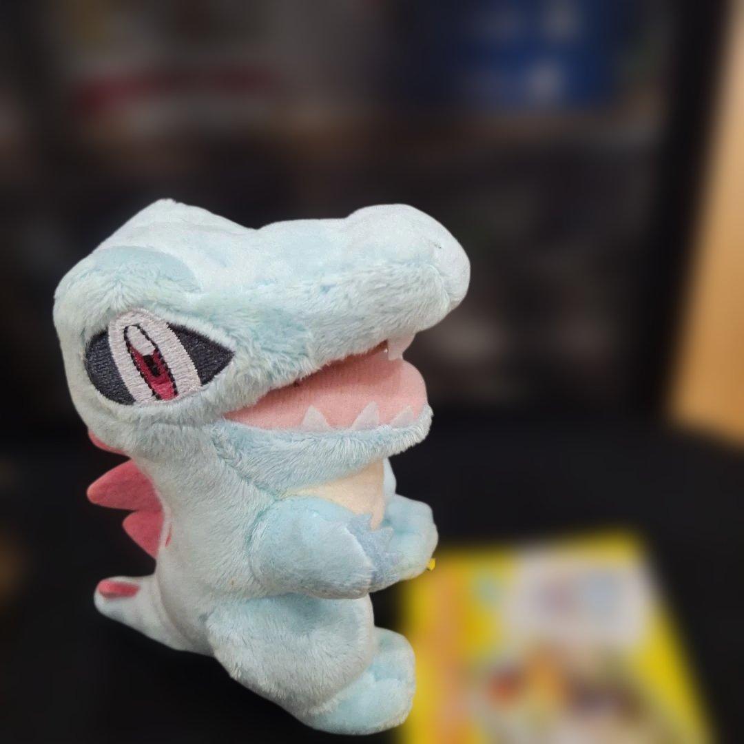 ポケモンセンター キャンバス チコリータ ワニノコ ヒノアラシ