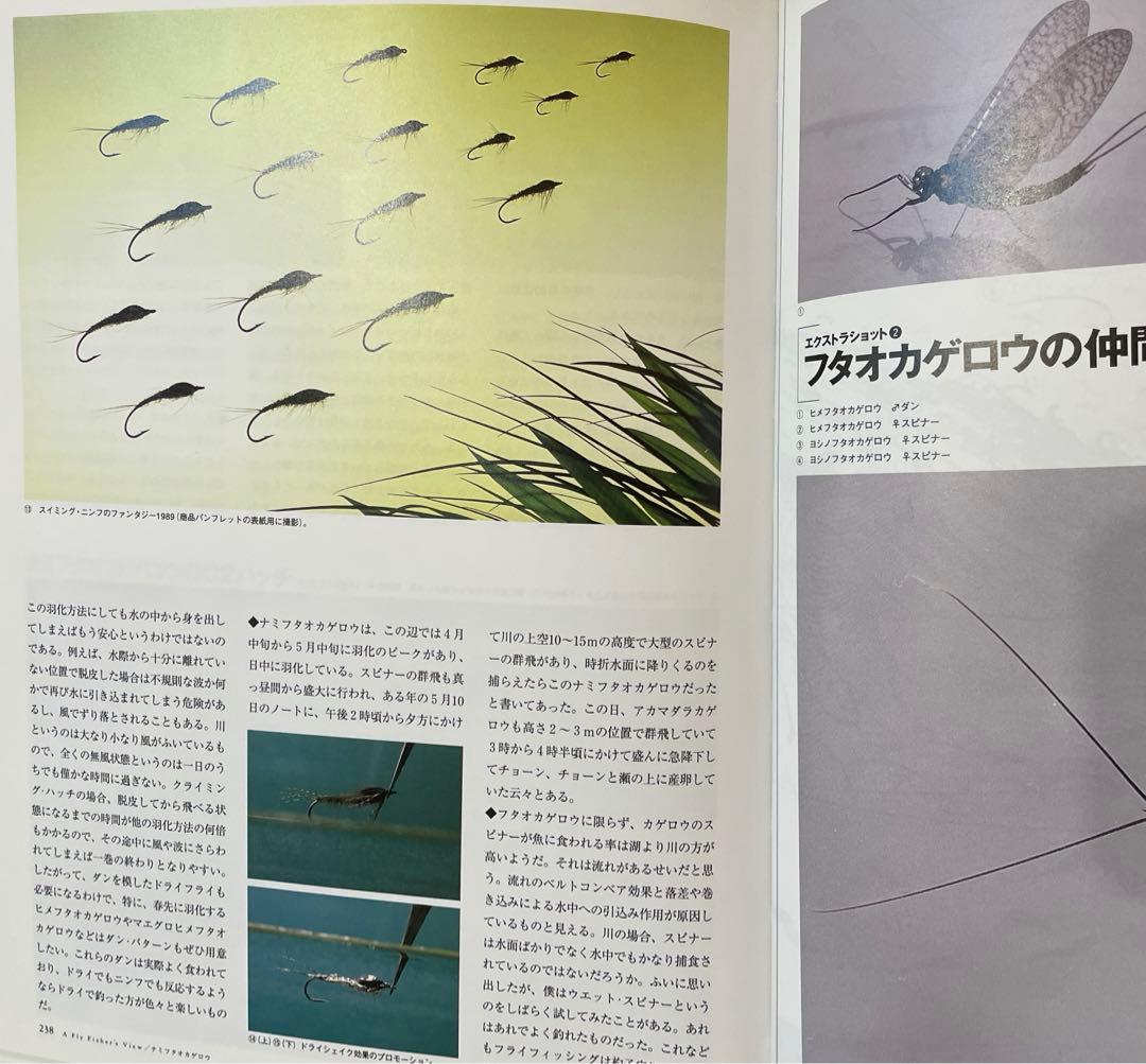 水生昆虫アルバム 第1版/島崎憲司郎 釣り フライフィッシング - メルカリ
