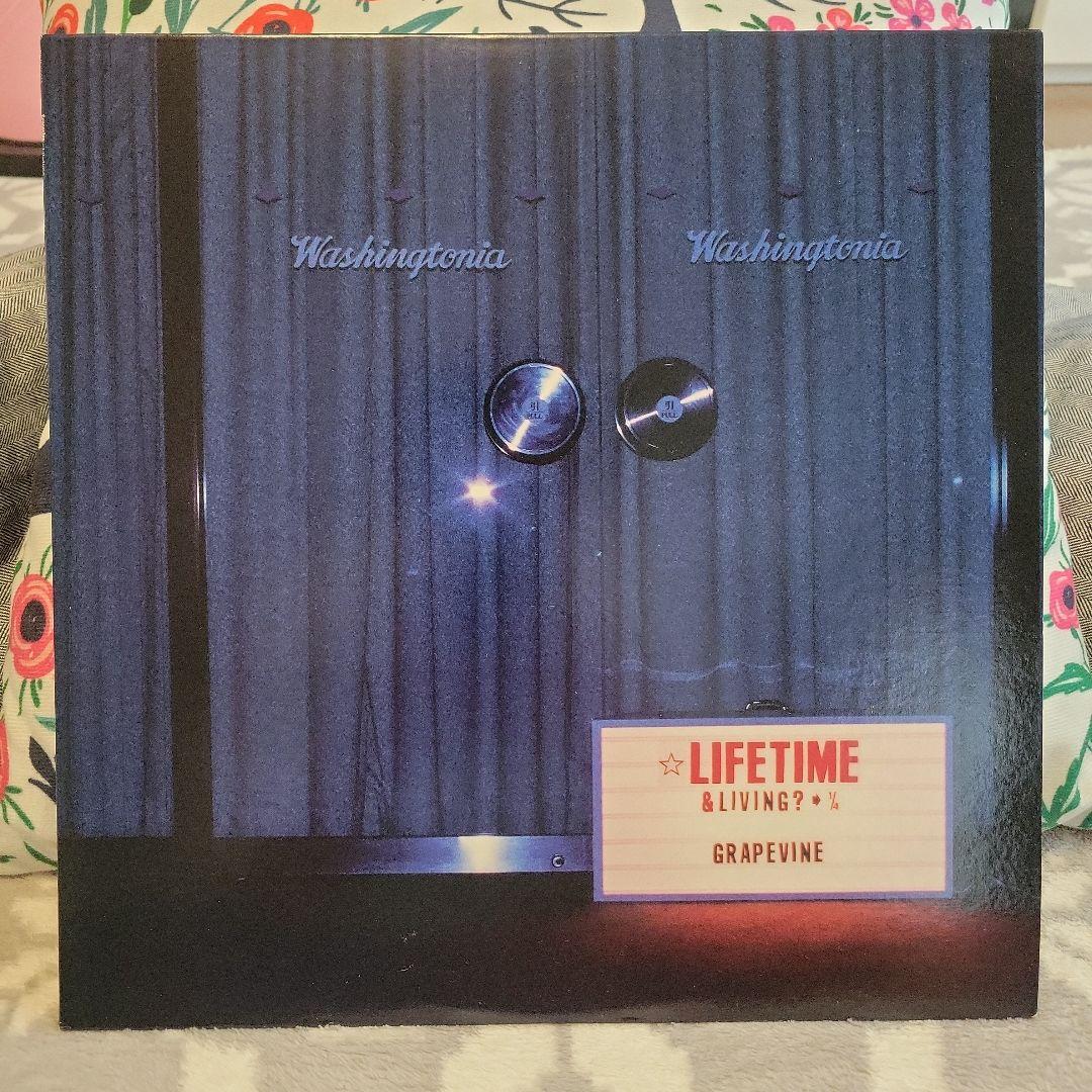 GRAPEVINE グレイプバイン LIFETIME アナログ レコード - メルカリ