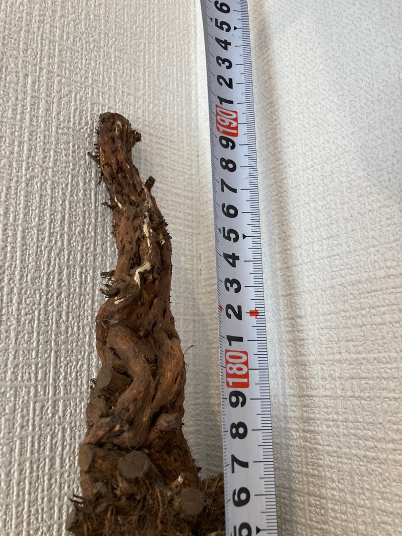 アカザ杖 木製 杖 高さ1900mm 直径31.95mm - メルカリ