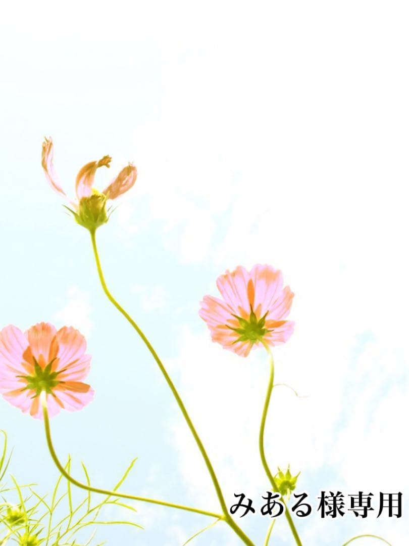 みあるページ K6A 後期型 コンロッドメタル ベアリング コネクティングロッド 12181