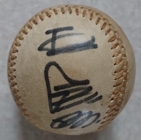 希少 王貞治 長嶋茂雄 直筆 サイン ボール 読売 ジャイアンツ 巨人軍