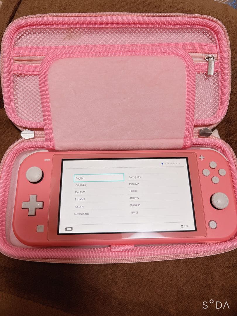 Nintendo Switch Lite ピンク 本体　ジャンク品 ジャンク品Nintendo Switch Lite ピンク 注文 NINTENDO Switch LITE