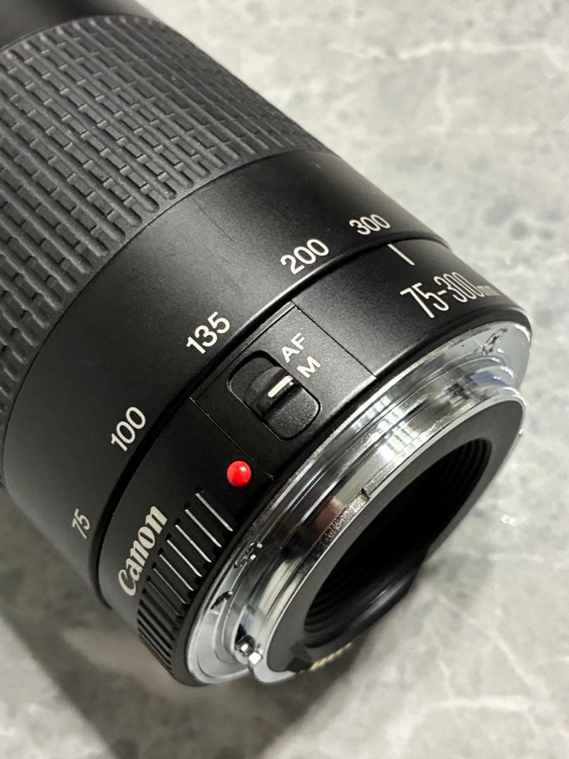 ⭐️美品⭐️Canon EF 75-300mm F/4-5.6 II 望遠レンズ