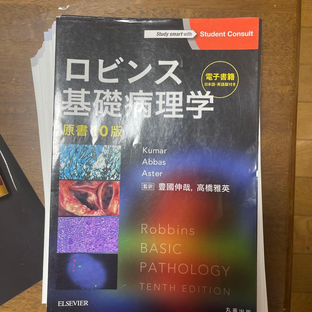 ロビンス基礎病理学 ロビンス基礎病理学 10版 ロビンス基礎病理学