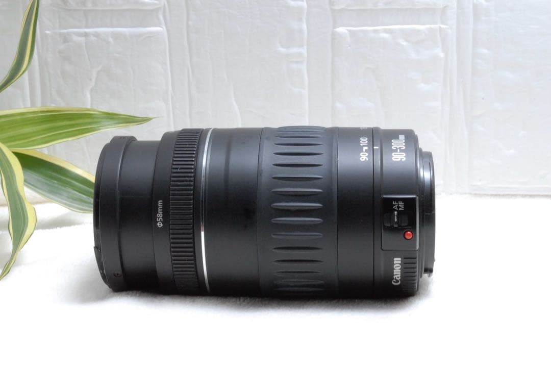 ⭐️キャノン Canon EF 90-300mm F/4.5-5.6 望遠レンズ
