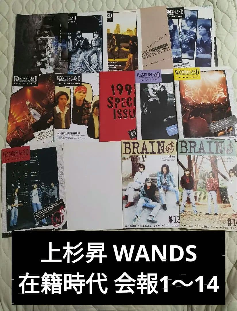 第2期 WANDS ワンズ 上杉昇 会報1～14フルセットWANDERLAND 第2期 WANDS ワンズ 上杉昇 会報 #1～14 フルセット ファンクラブ 柴崎