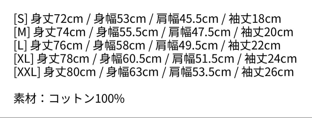 VANISH DATEBACK SS TEE - メルカリ