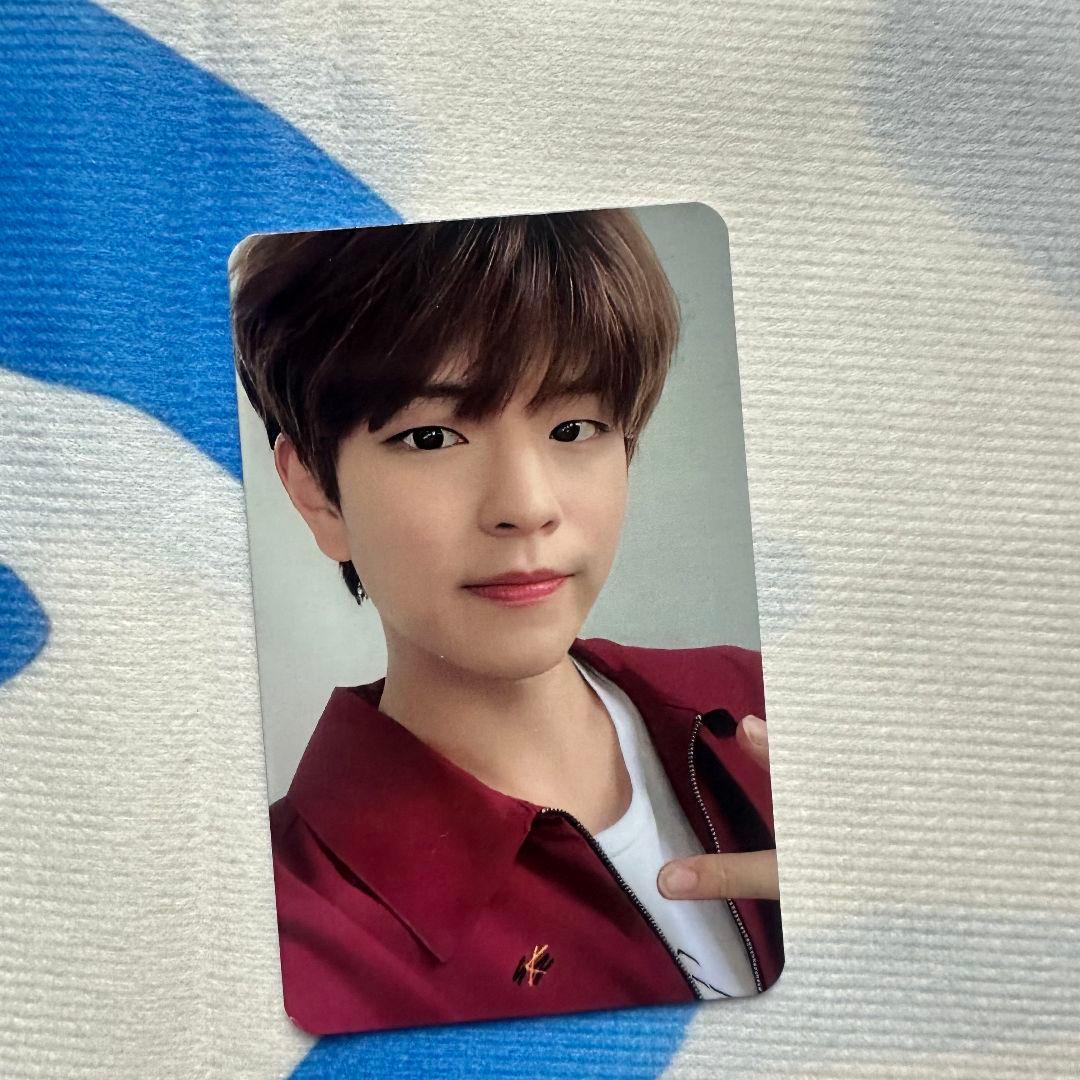 Straykids 限定 YELLOW WOOD スンミン サノク トレカ Stray Kids photocard album Yellow Wood Official Photo card