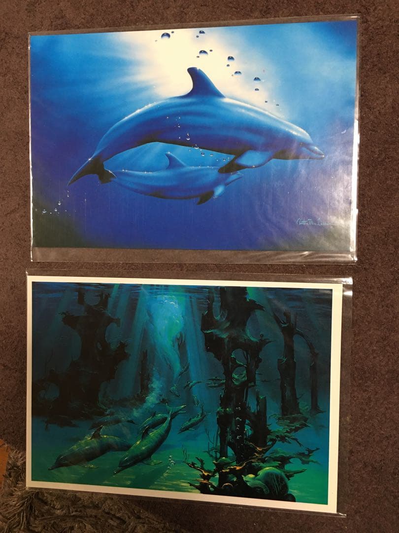 クリスチャン・ラッセン 複製画 - メルカリ