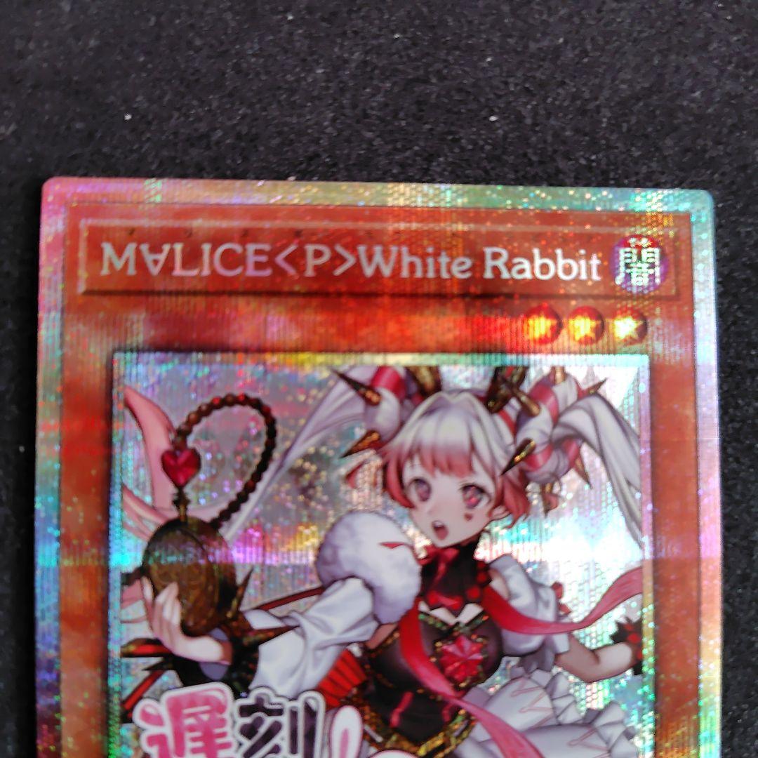 MALICE P White Rabbit ホワイトラビット25thシークレット Amazon.co.jp: 遊戯王カード M∀LICE＜P＞White