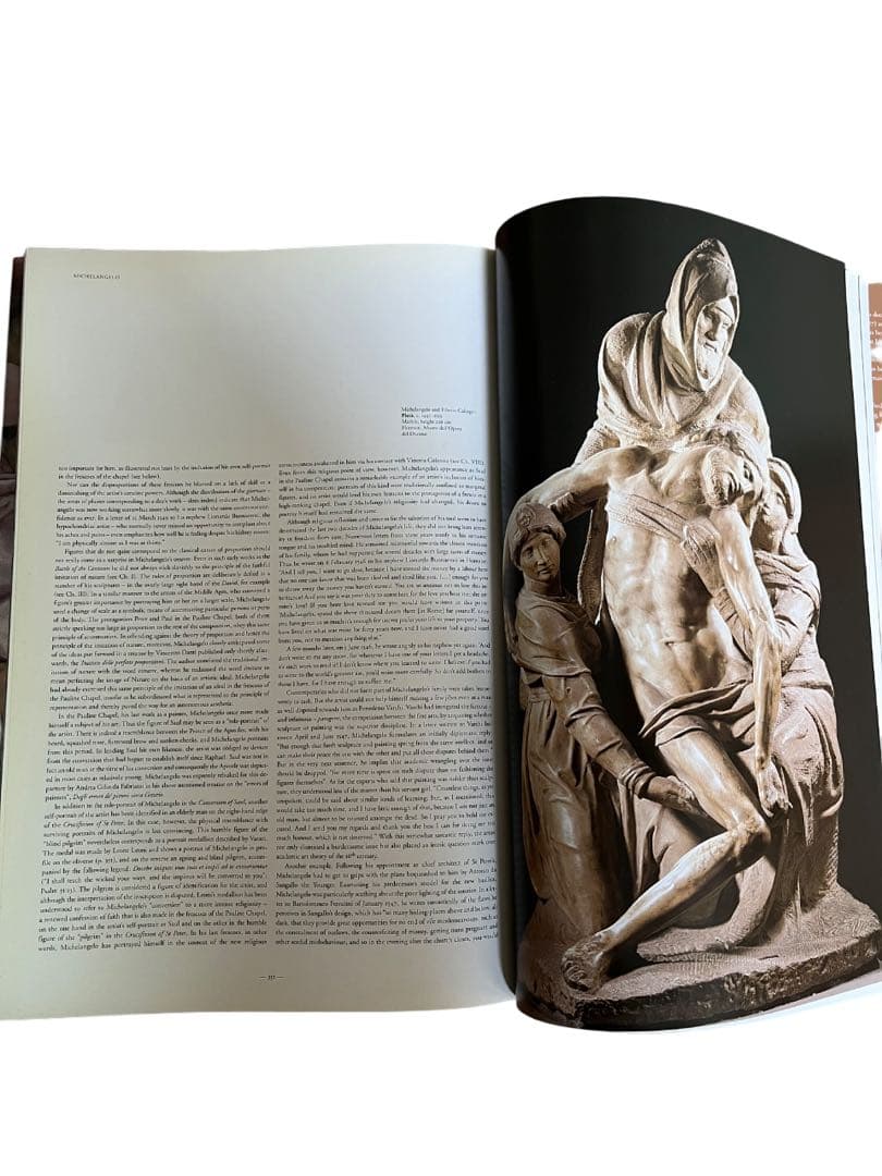 大型本】Michelangelo 『Life and Work』TASCHEN - メルカリ