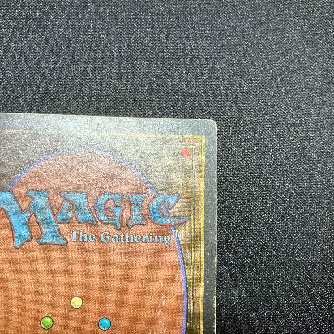 MTG Tundra 【3ED】 リバイズド 英語版 デュアルランド - メルカリ