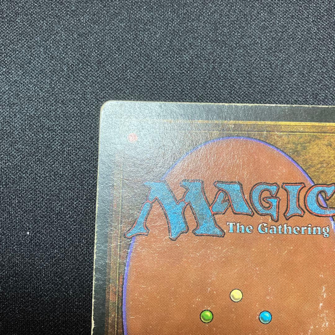 MTG Tundra 【3ED】 リバイズド 英語版 デュアルランド - メルカリ