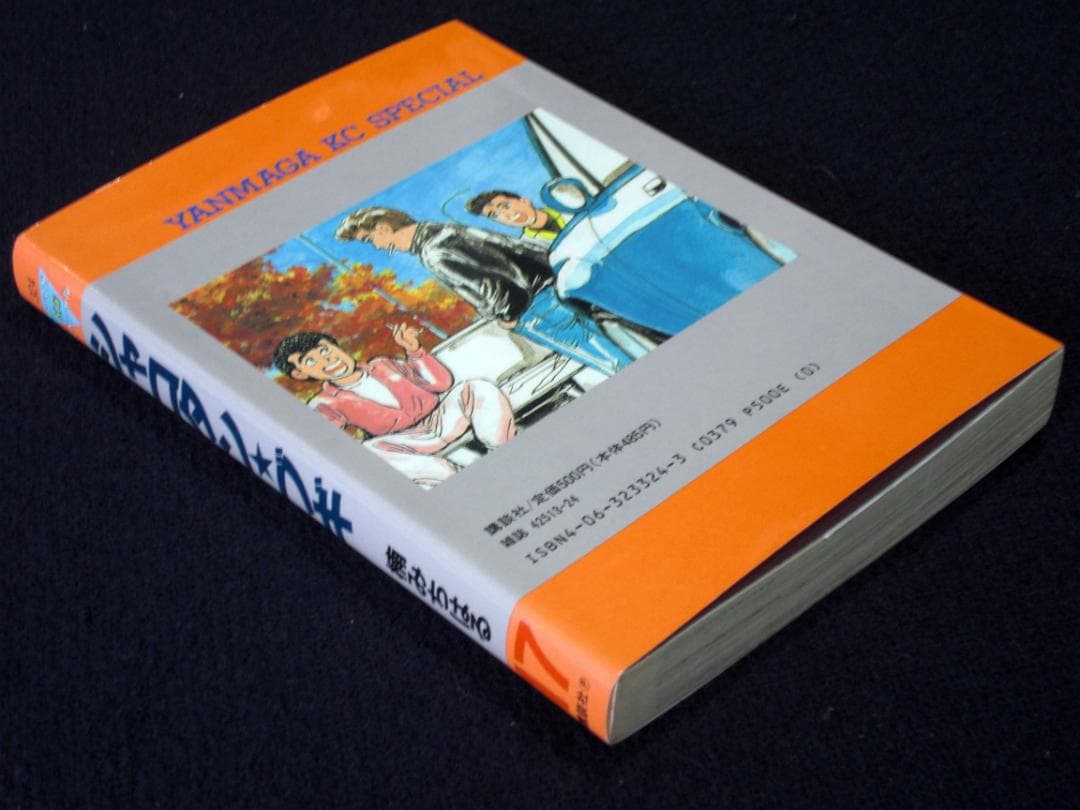 楠みちはる シャコタン・ブギ 17巻 1992年初版 単行本 B6判