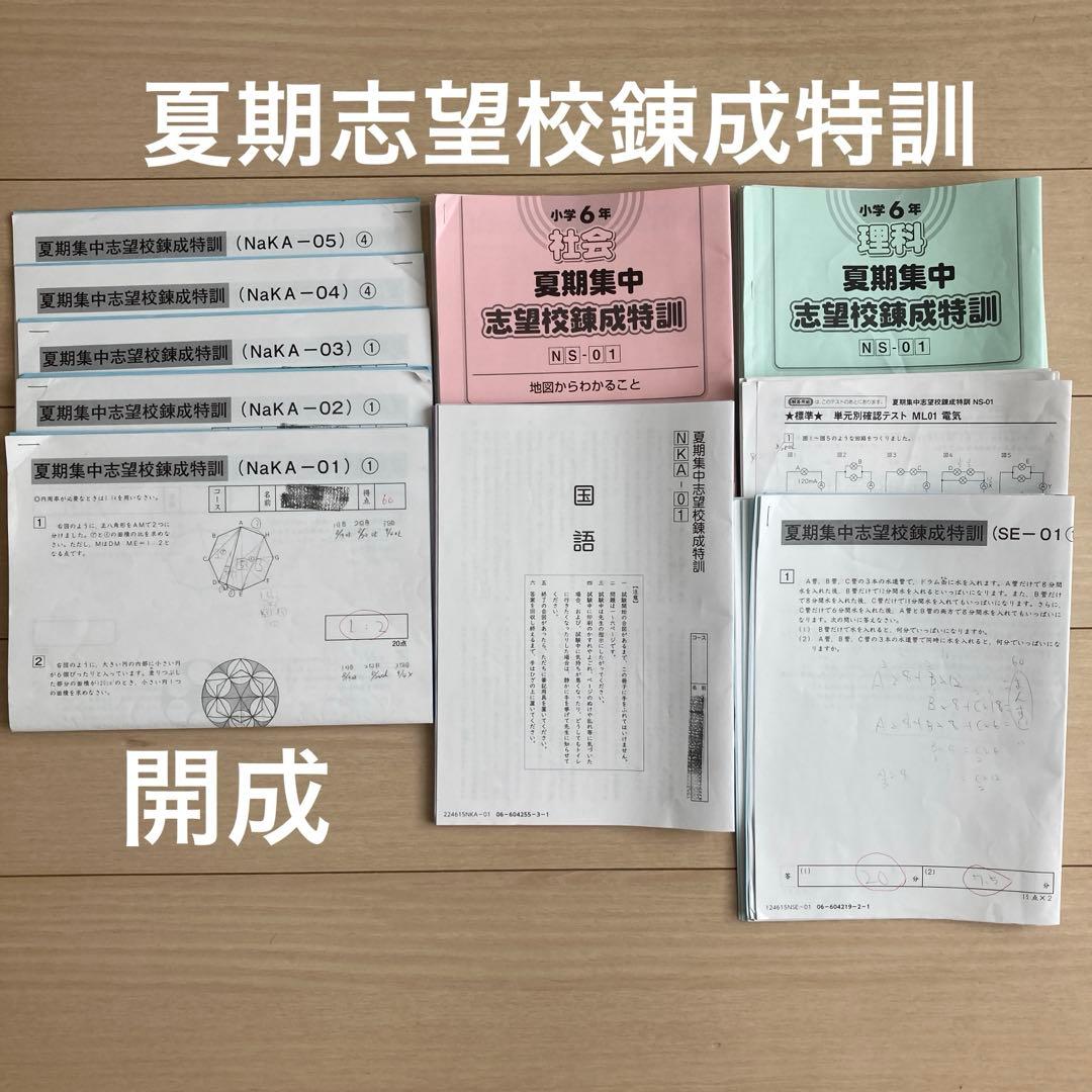 2025年組　サピックス　開成　夏期　志望校別 SAPIX サピックス 桜蔭コース 夏期集中志望校錬成特訓 算数 【計5回分
