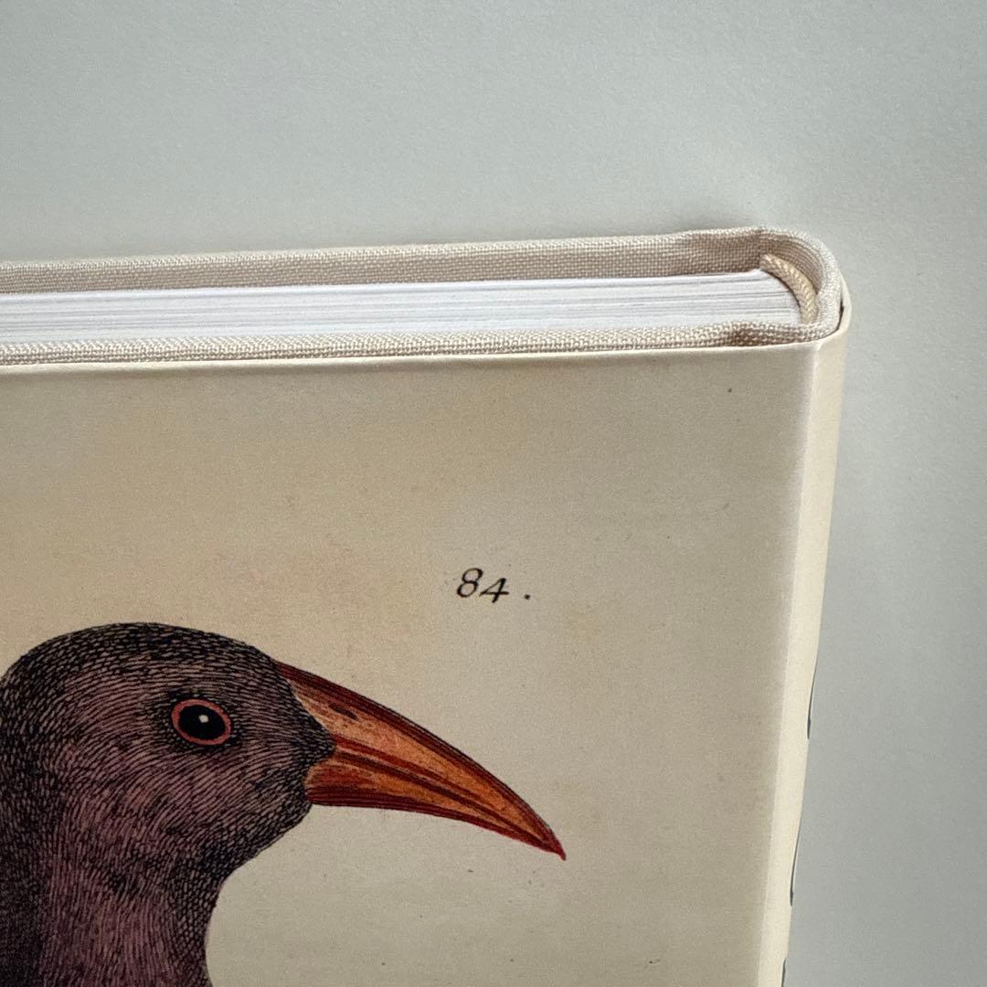 【最終お値下げ10/5本日までの特価です】ジョンデリアン ピクチャーブックII