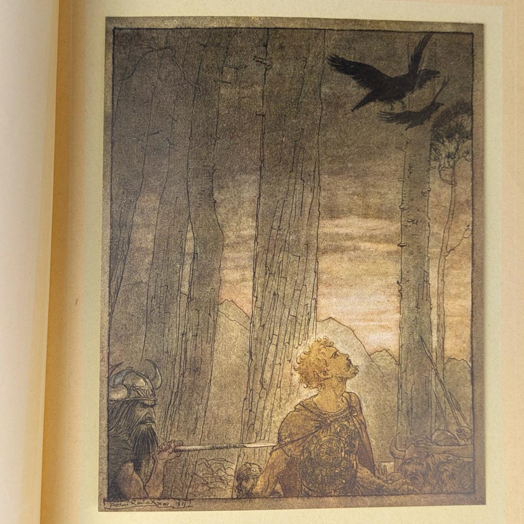 初版 アーサー・ラッカム挿画紋本 カラーイラスト全揃いジークフリート