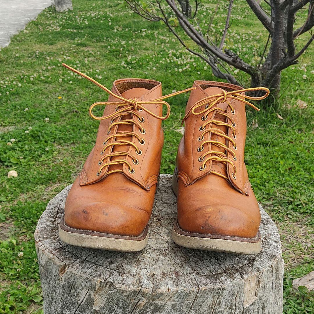 REDWING 9871 アイリッシュセッター ゴールドラセット セコイア - メルカリ