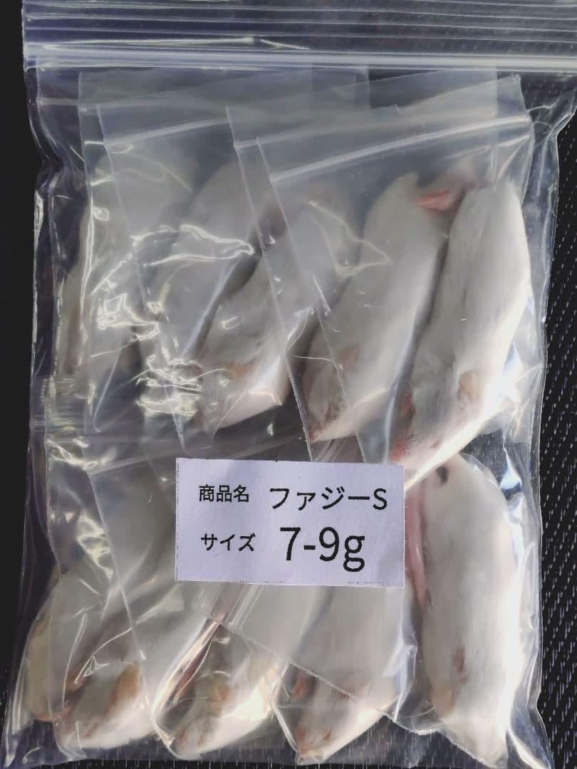 賈琦様冷凍ファジー10匹ファジーS 30匹アダルトM 10匹フタホシ200