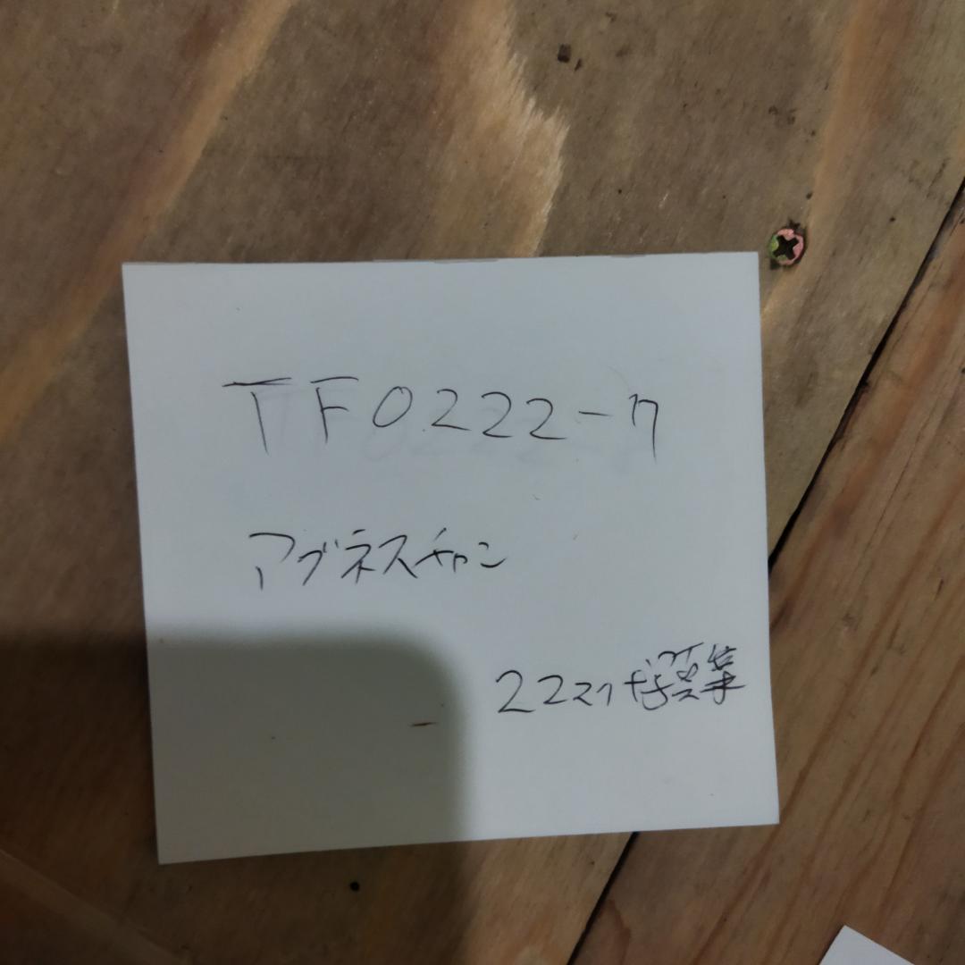 アグネス・チャン 写真集付き【22枚+写真集】TF0222-7 LPレコード