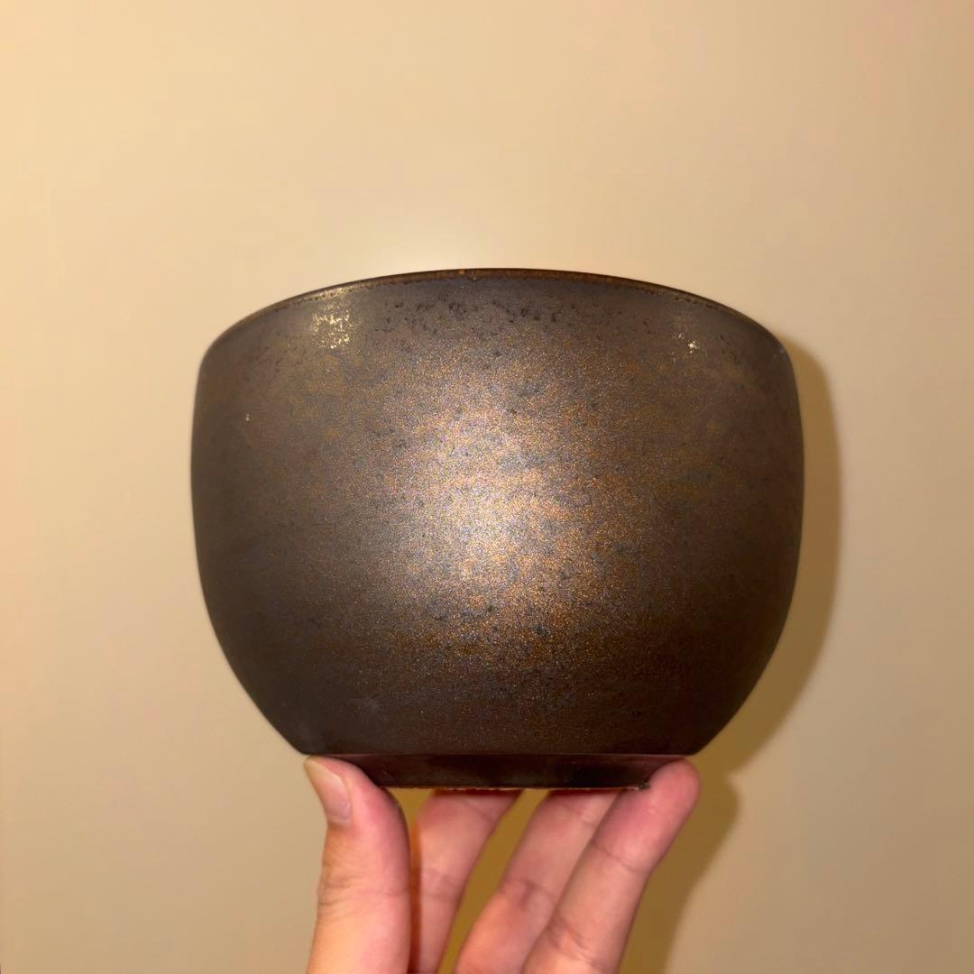 XL 盆栽鉢 作家鉢 陶器 真柏 糸魚川 皐月 五葉松 長寿梅 アガベ