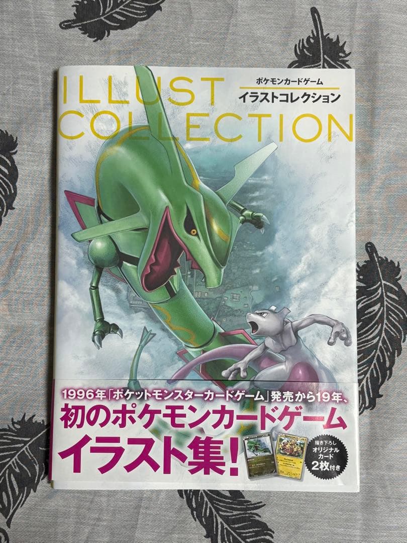 ポケモンカードゲーム イラストコレクション Amazon.co.jp: ポケモンカードゲーム イラストコレクション : 株式会社