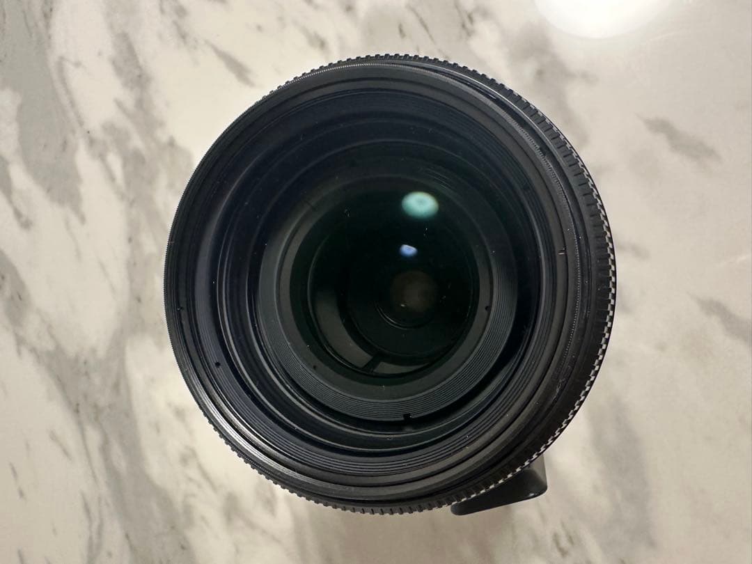 おーつか　SIGMA 50-500mm F4.5-6.3 Nikon