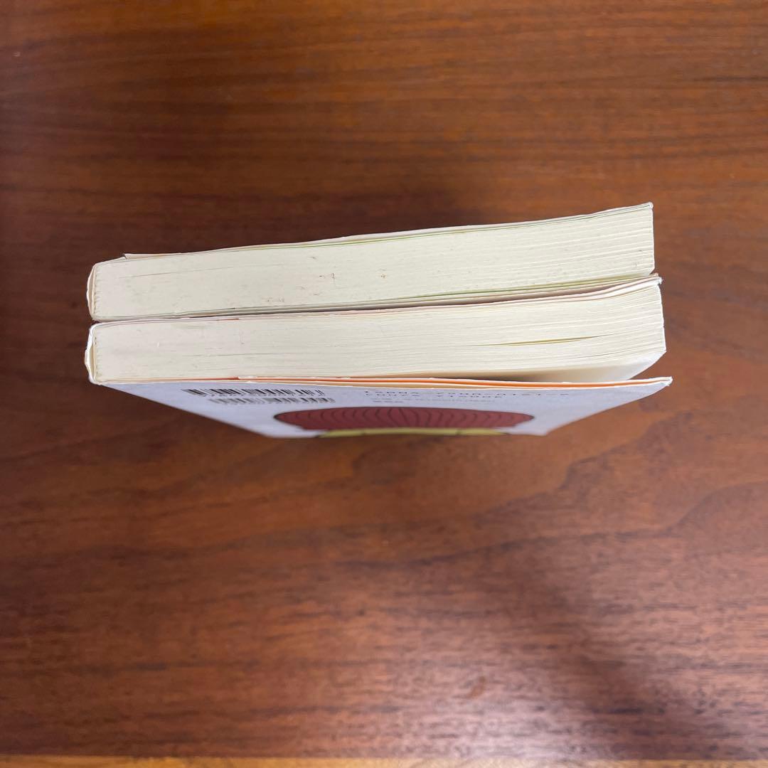 絶版！初期のアイビーボーイ図鑑ギャル復刻版2冊セット！新品大変貴重です。