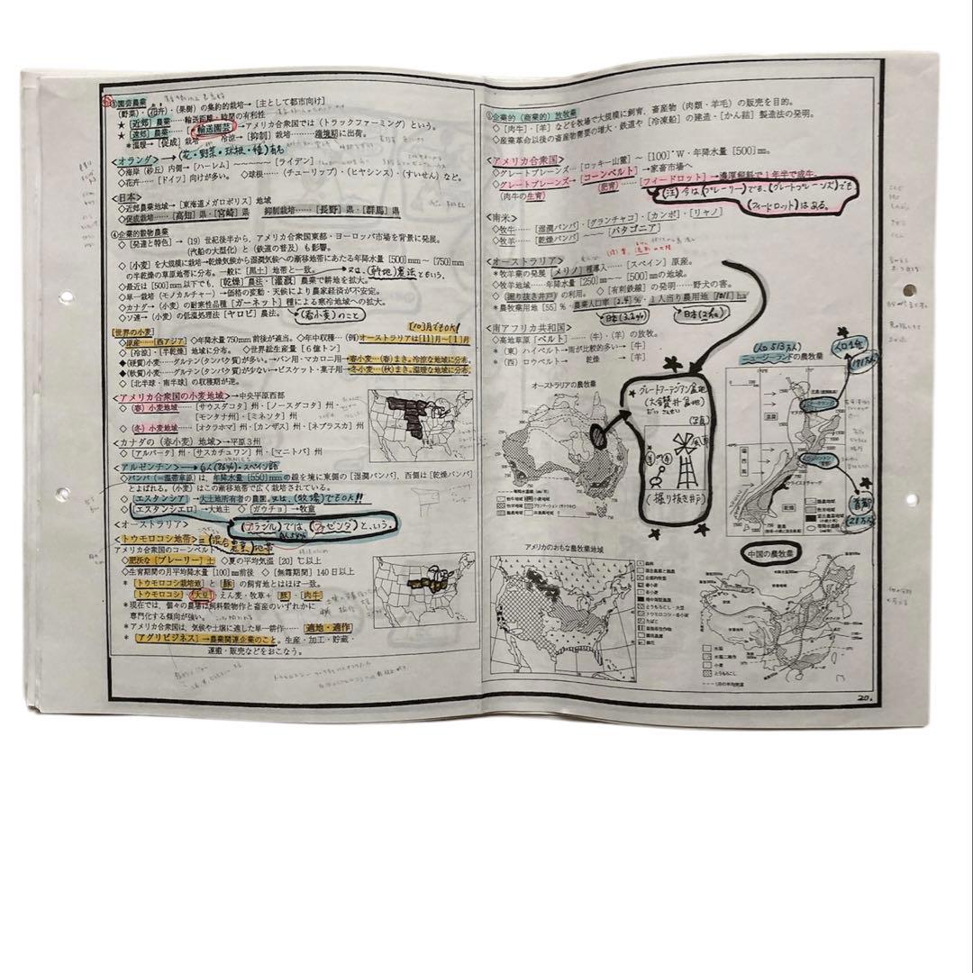 岡田了一郎先生】駿台『通期 地理 オリジナルプリント』 73枚 MSクラス