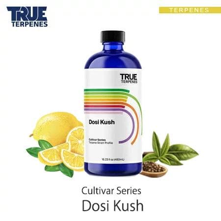 TRUE テルペン 510 CBD CBN CBG 10ml ドシクッシュ TRUE テルペン 510 CBD CBN CBG 10ml グレープフルーツ TRUE テルペン