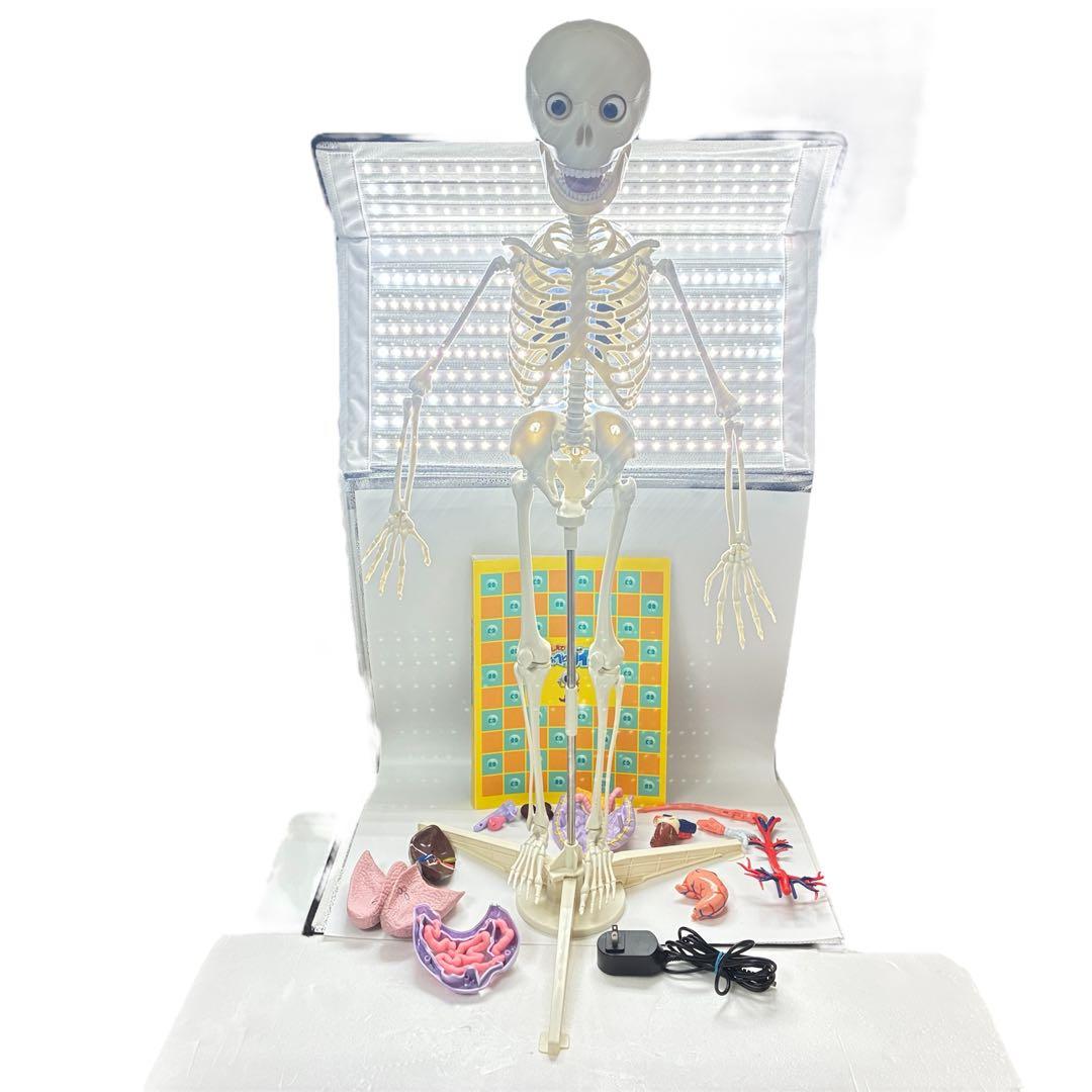 デアゴスティーニ おしゃべりガイコツ ホネッキー1～70 - メルカリ