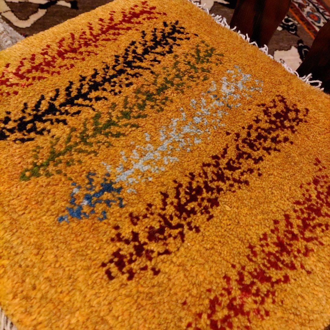 リクエスト 2点 まとめ商品 Amazon | Kenko PLフィルター ZX サーキュラーPL 67mm 高透過偏光膜