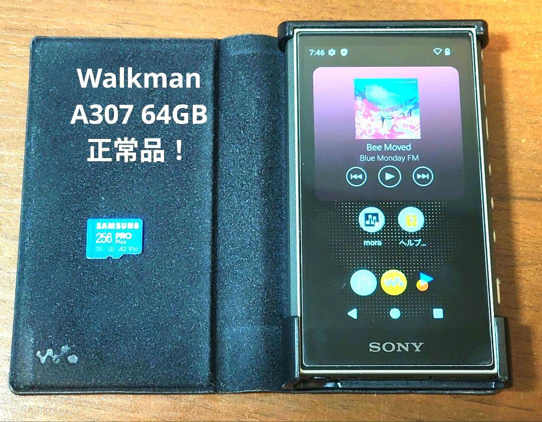 SONY Walkman NW-A307 64GB＋256GBSD＋純正ケース - メルカリ
