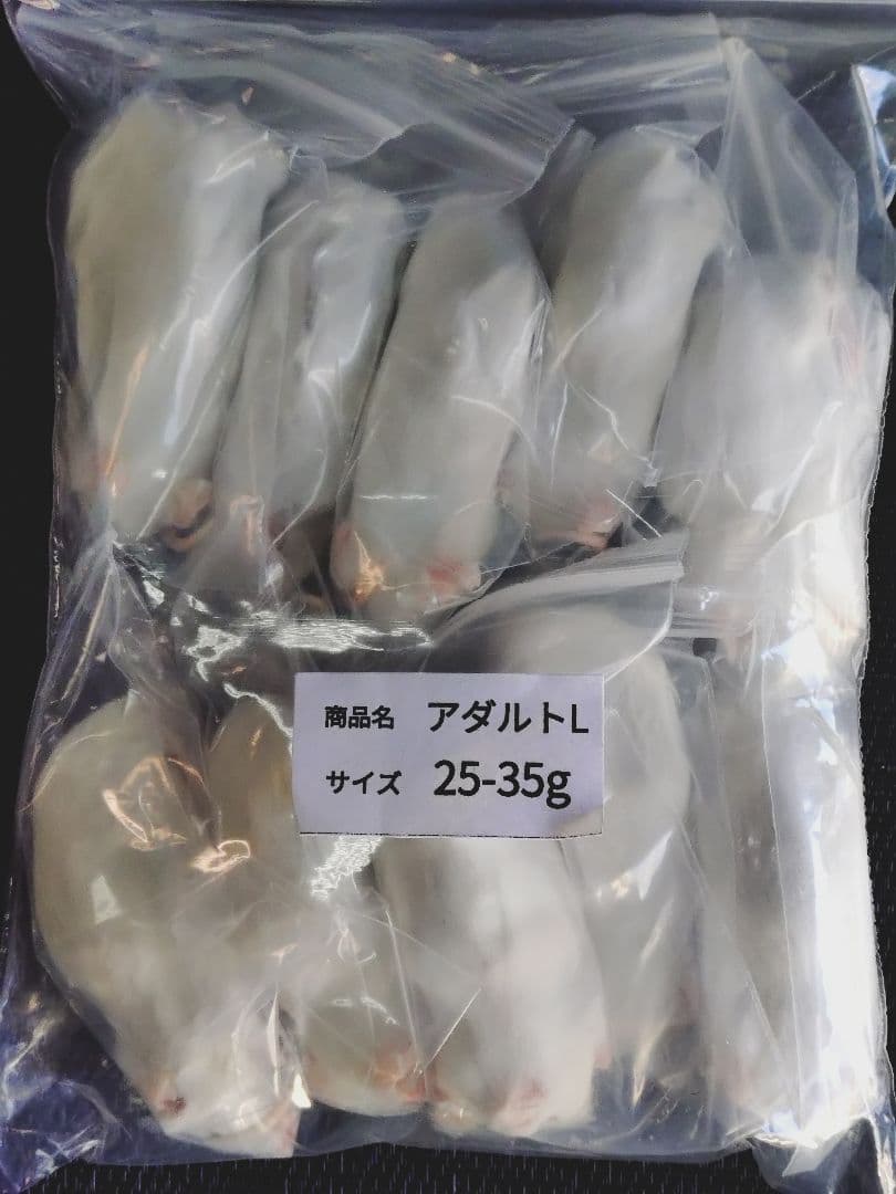 送料無料 冷凍マウスアダルトＬ50匹　アダルトM30匹 冷凍】 冷凍マウス アダルトLサイズ（約30g）10匹パック（T2