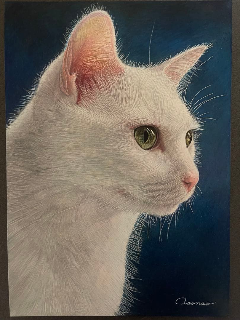色鉛筆画A4白猫30 - メルカリ