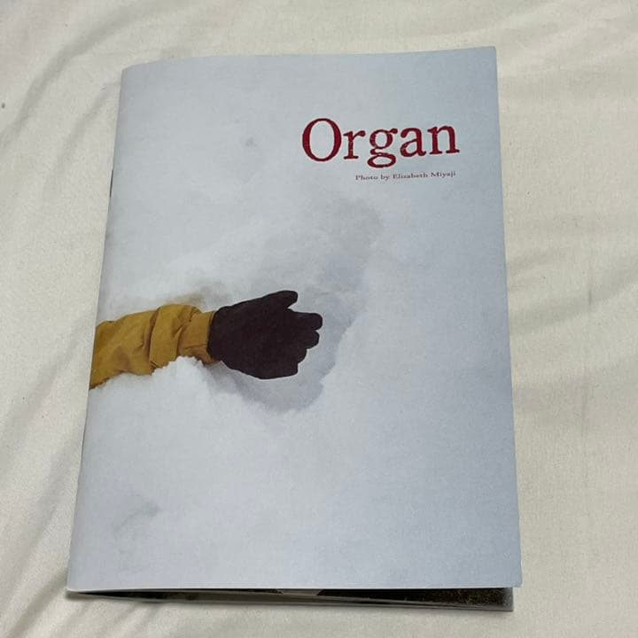 organ 写真集