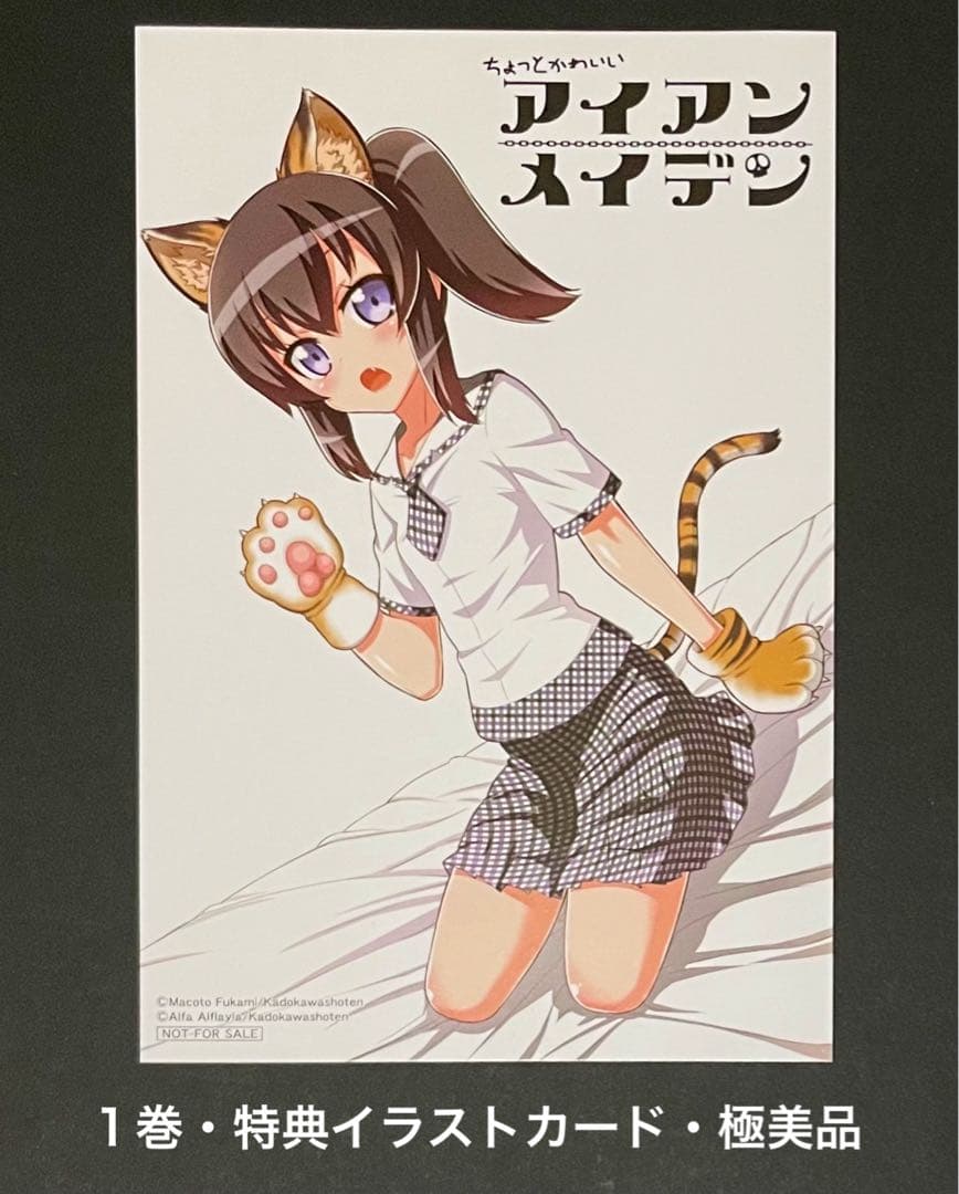 ちょっとかわいいアイアンメイデン 1巻・4巻・特典セット - メルカリ