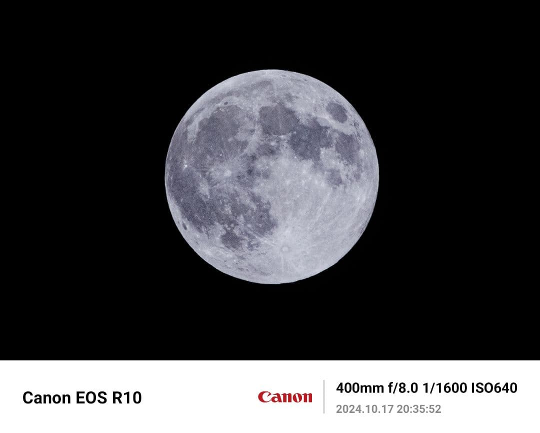 美品RF 100-400F5.6-8 IS USM+ F-Foto製三脚座リング