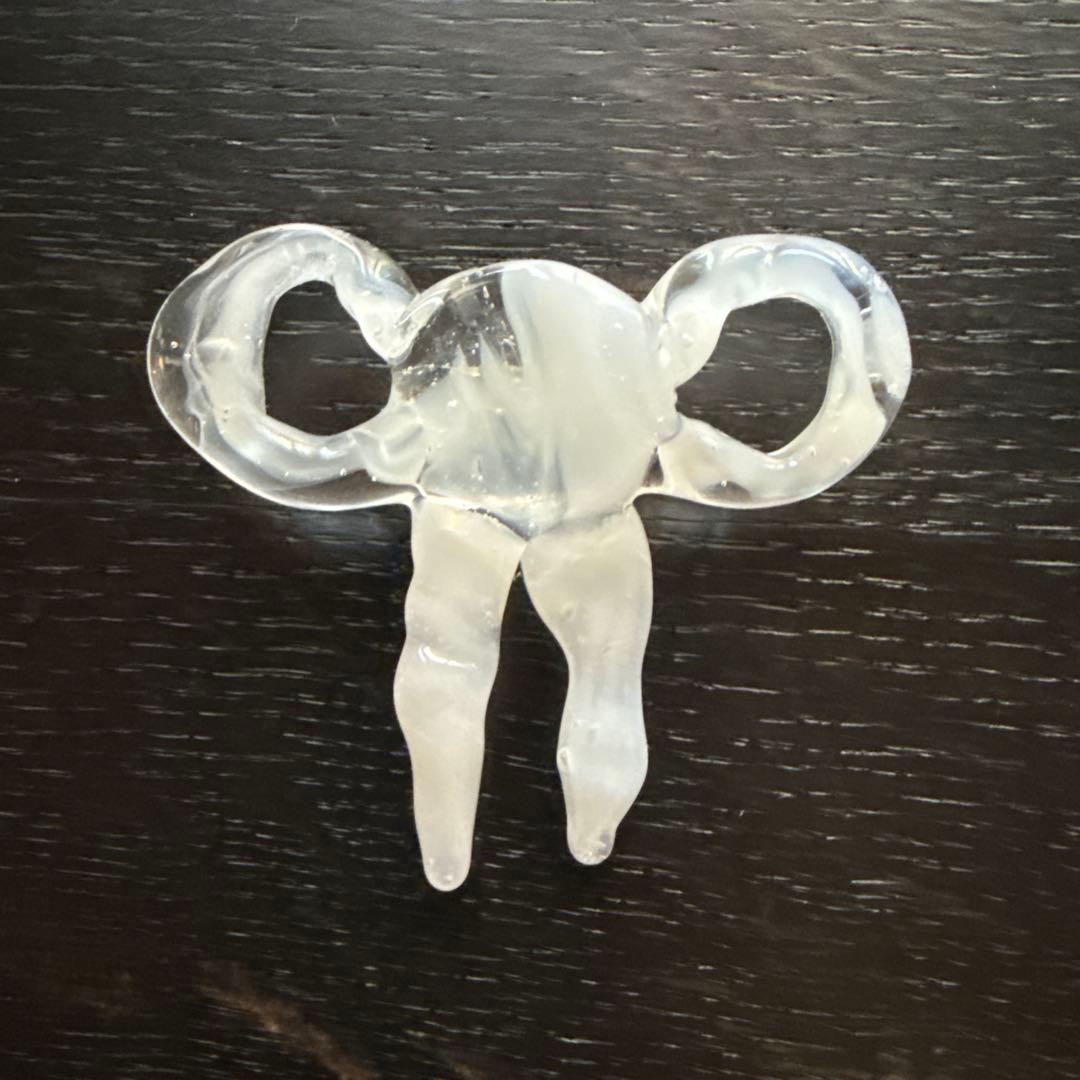 LEVENS 別注Lazo Brooch - メルカリ